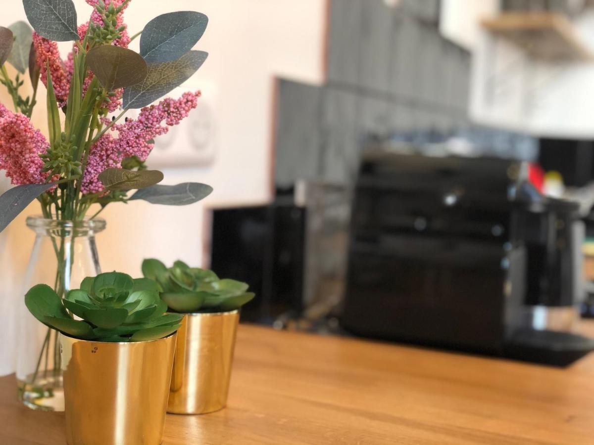 Appartement Centre-Ville Chic Vannes Ngoại thất bức ảnh